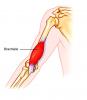 post-90-0-34551900-1358681755_thumb.jpg