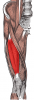 post-16980-0-34078600-1452861700_thumb.p