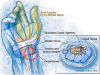 post-51669-13531537306828_thumb.png