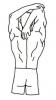 post-1151-0-98027000-1364386394_thumb.jp