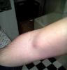 post-578-0-44221200-1363199738_thumb.jpg