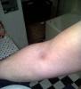 post-578-0-67590700-1363199743_thumb.jpg