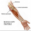 post-12111-0-62579500-1426550671_thumb.p