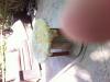 post-19387-0-55090700-1435041640_thumb.j