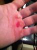 post-49970-13531537376995_thumb.jpg