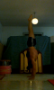 post-1151-0-70597100-1377203136_thumb.pn