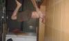 post-10103-0-60829100-1409994666_thumb.j