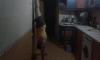 post-10103-0-95622000-1411987757_thumb.j