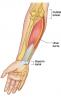 post-16980-0-78209800-1444402185_thumb.j