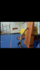 post-10847-141648362014_thumb.png