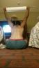 post-16040-0-99062000-1418603201_thumb.j
