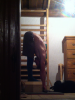 post-2183-0-81767200-1419845026_thumb.pn