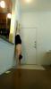 post-13982-0-12602500-1449261316_thumb.j