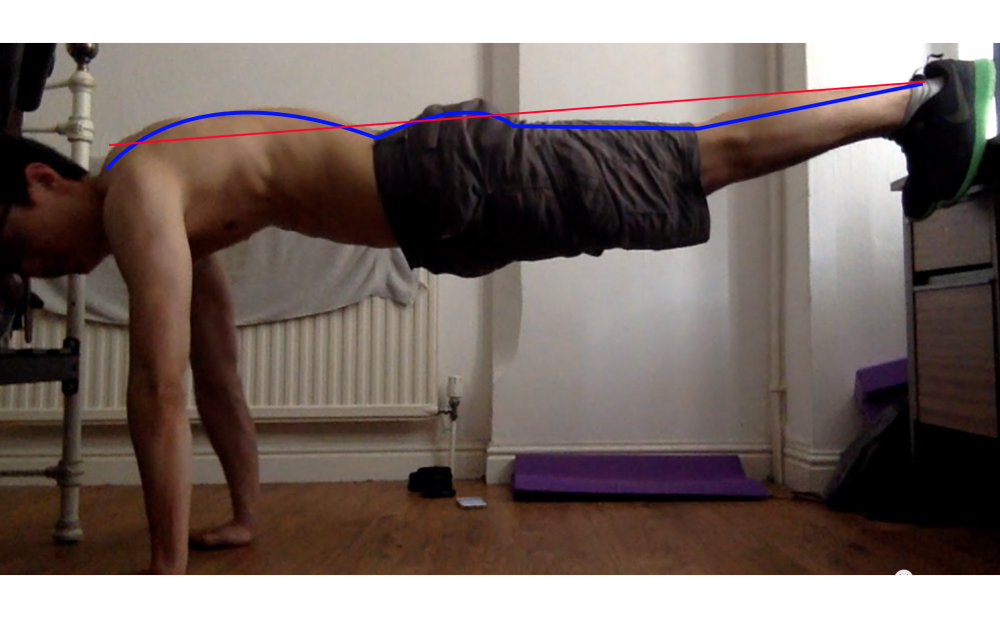 Plank:PPT Bottom.png