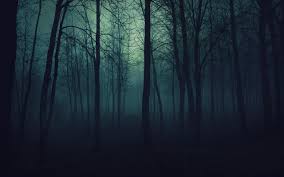 forest.jpeg