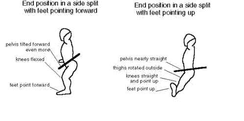 hips limit split.png