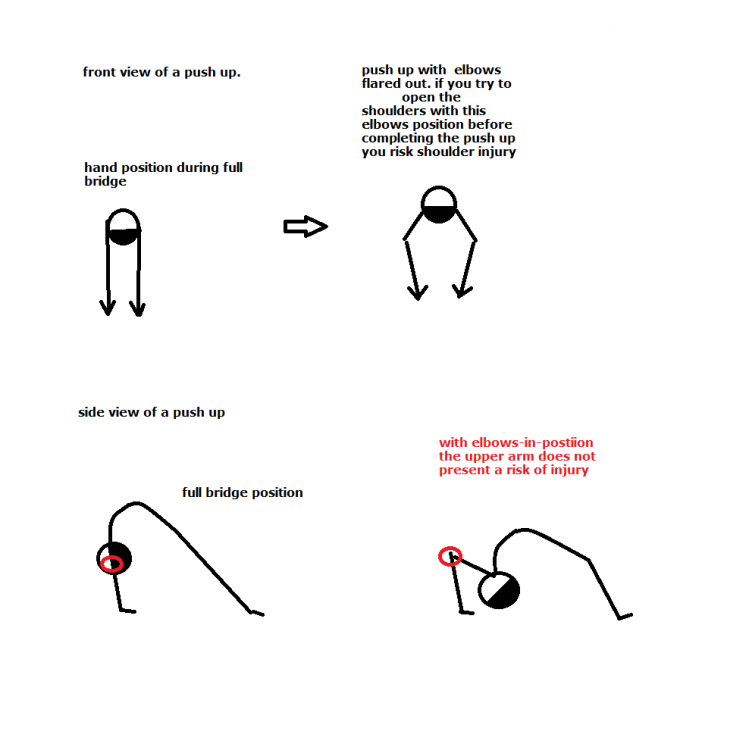 bridge push up.png
