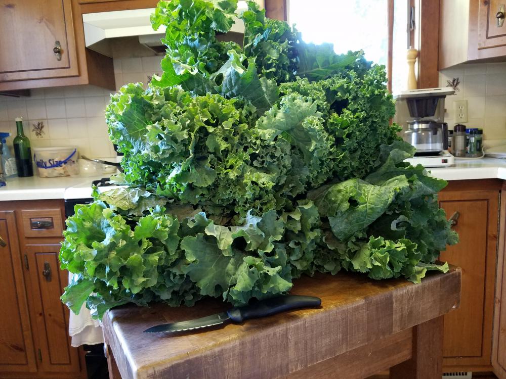 greenveggie.jpg