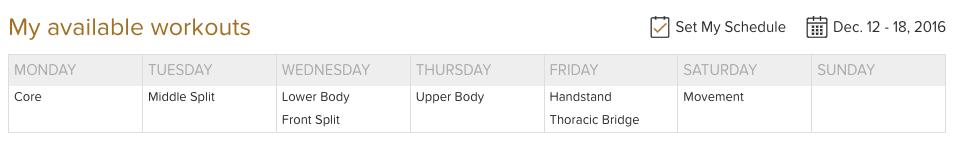 Screen Shot 2016-12-12 at 10.28.58 AM.png