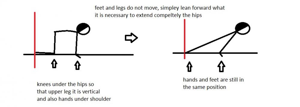 Planche Lean starting position.jpg