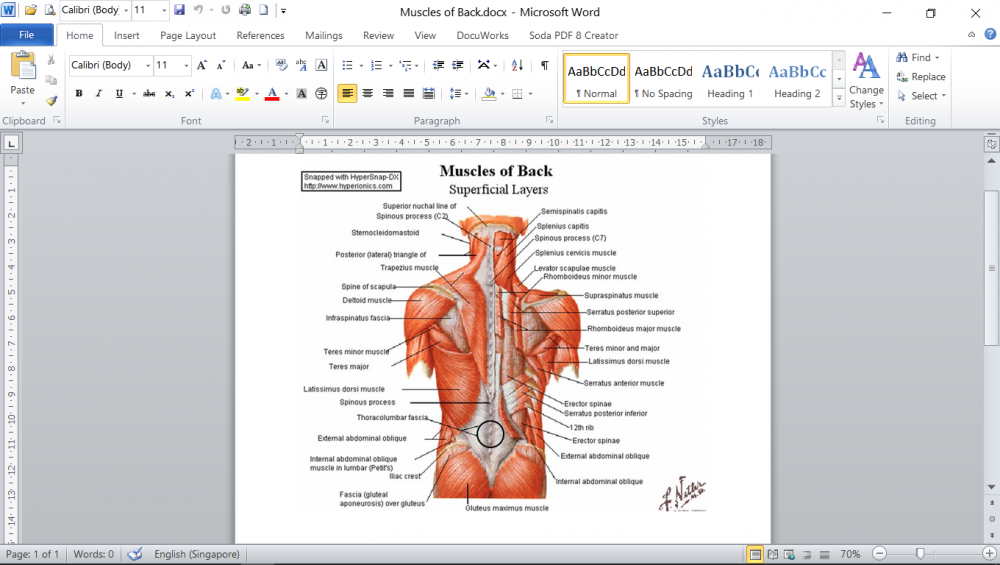 image.thumb.png.8fc37e3140bb279a91778b500bf4d791.png