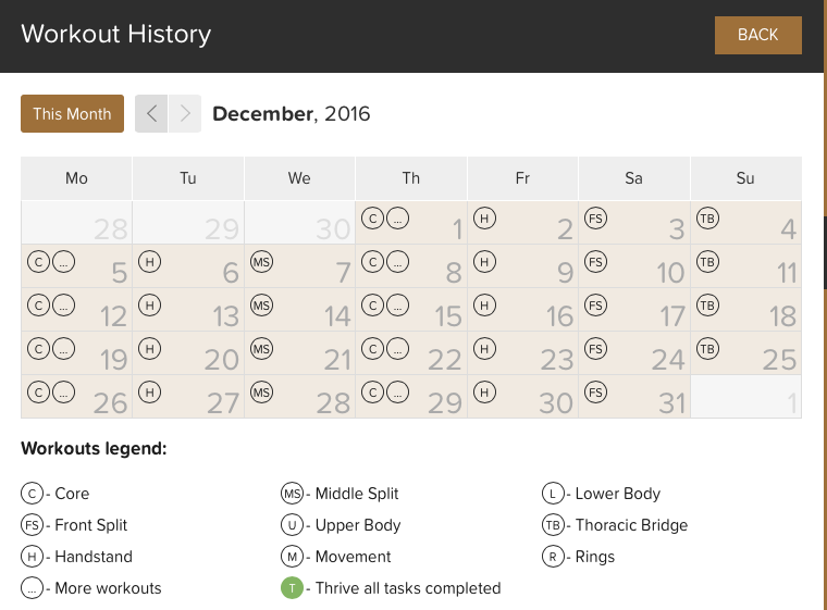 59ae1ecd96336_GSTworkoutlogDecember2016.png.d9e5e94b1d49534f4f0718cca2cce38e.png