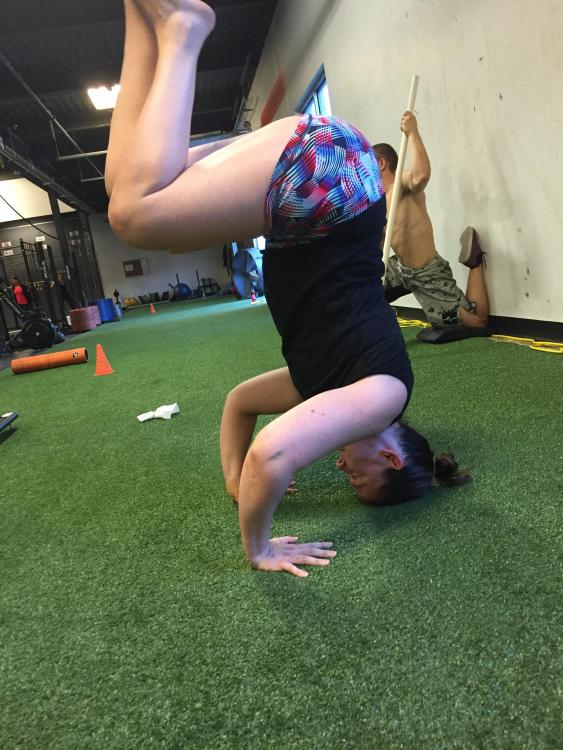 IMG_1183.thumb.JPG.365c0cf366b8bed696a0a8a06cafdbd2.JPG