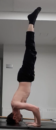 59ffd7bb5746c_Headstand2.PNG.1b1058e8c1e0f28afb1523faf7ca29bd.PNG