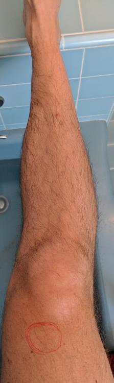 MVIMG_20180708_095217.jpg