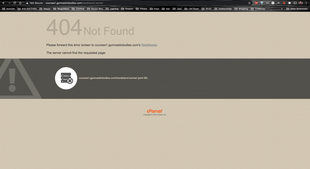Screen Shot 2020-12-01 at 17.09.26.png
