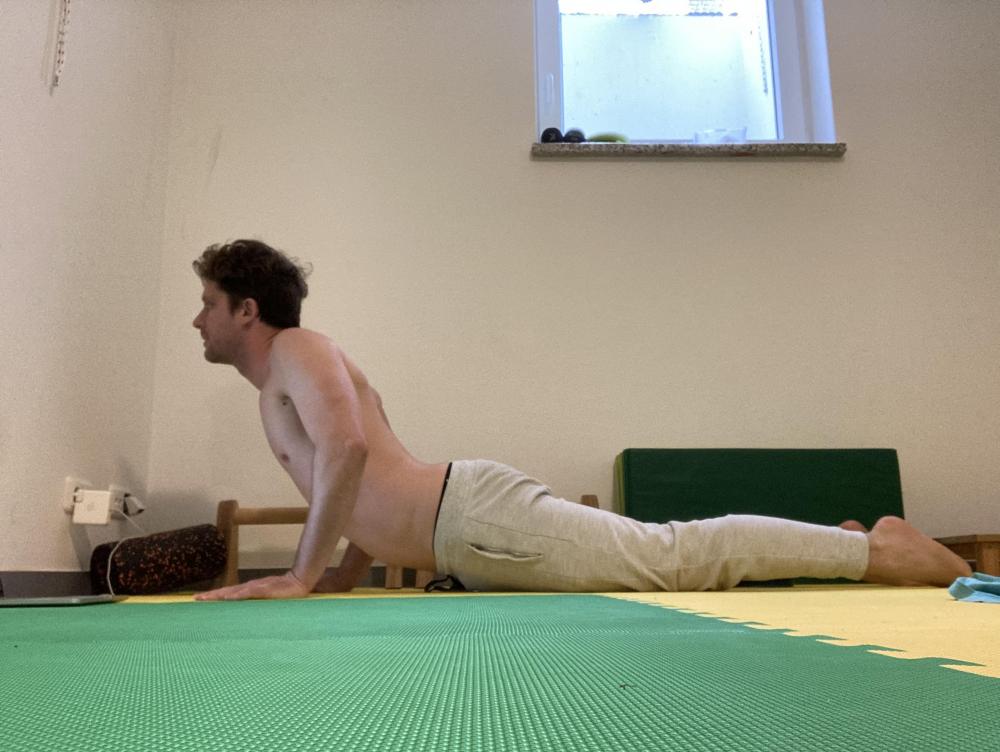 1_seal-stretch.JPG