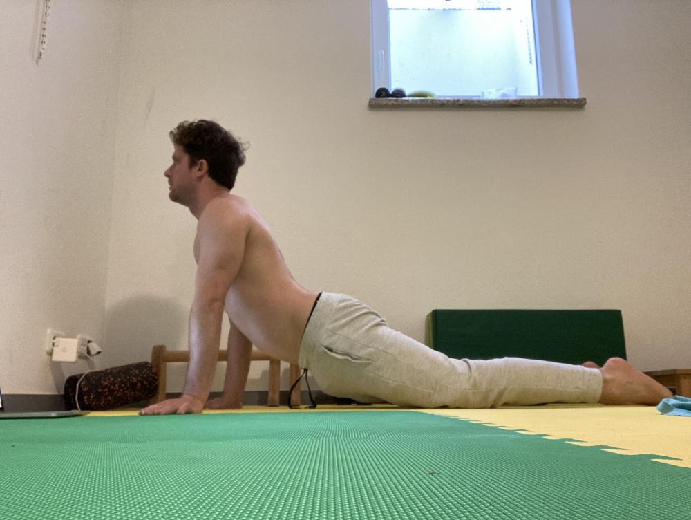 2_seal-stretch.JPG