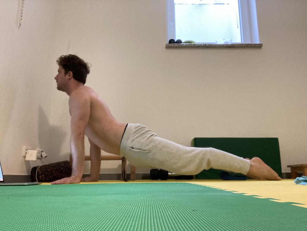 3_seal-stretch.JPG
