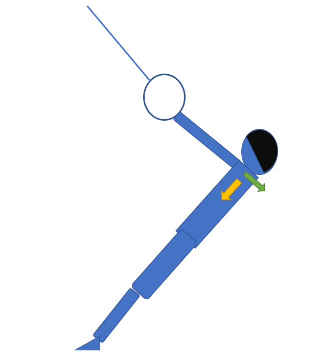 scapola.PNG