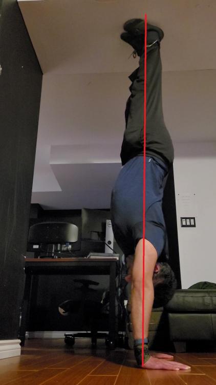1331534963_ChineseHandstand.thumb.jpg.684e6779c2cdd6e634086c5294dbbc9b.jpg