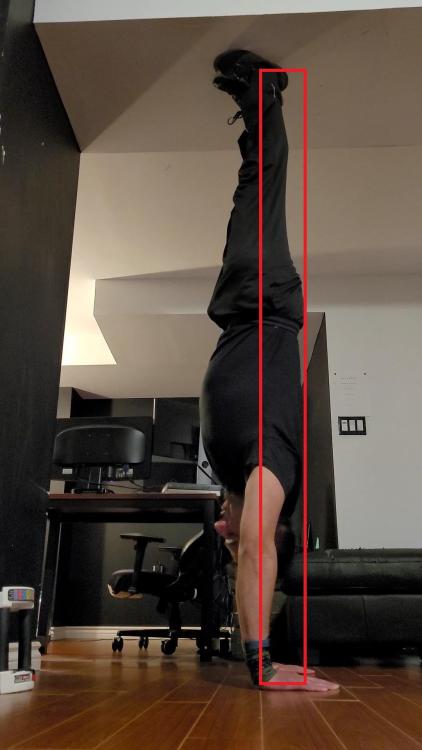 VideoCapture_20220817-122257.thumb.jpg.da2d95f124ba27fdd396f42785e68409.jpg